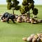 Mini Green Grass Mat by ArtMinds™